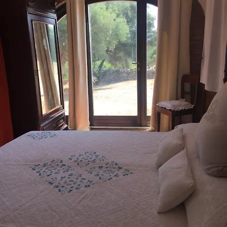 Bed & Breakfast Domo De